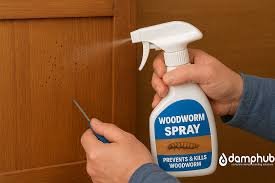 The Ultimate Solution for Effective Woodworm Control